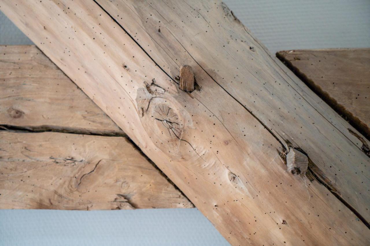 Hoeve De Bongerd Beesel Kültér fotó